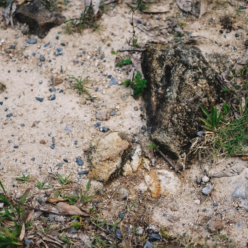 Sols sablonneux avec des cailloux et de l'herbe. Il y a un rocher qui semble pollué à droite.